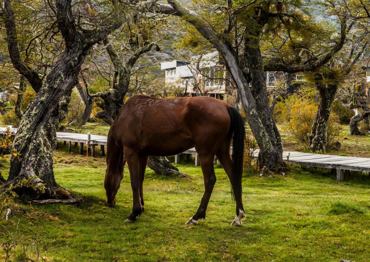 Pampa Hostel Torres del Paine National Park Exterior foto